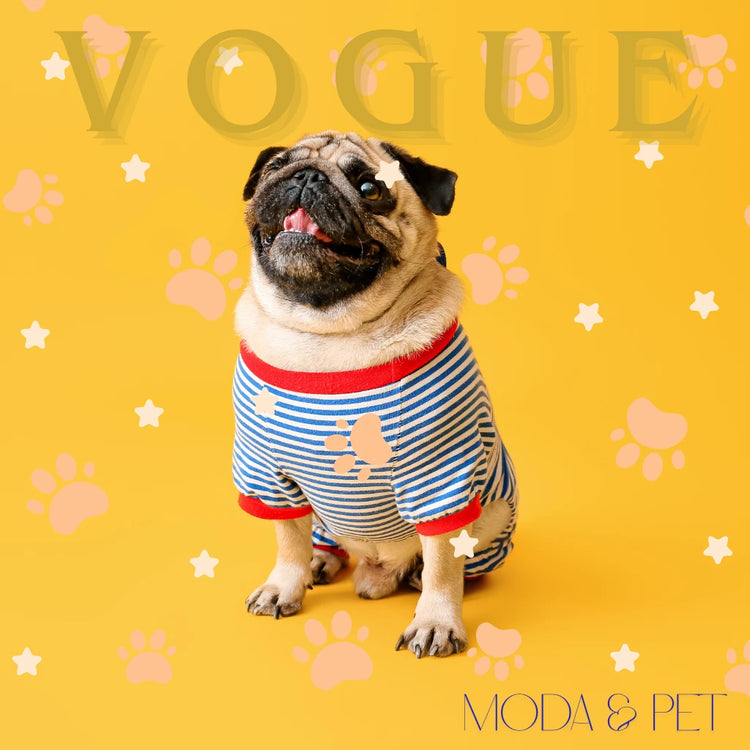 Abbigliamento per cani e gatti