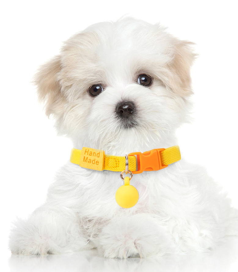 Collare regolabile per cani e gatti(22-32cm)